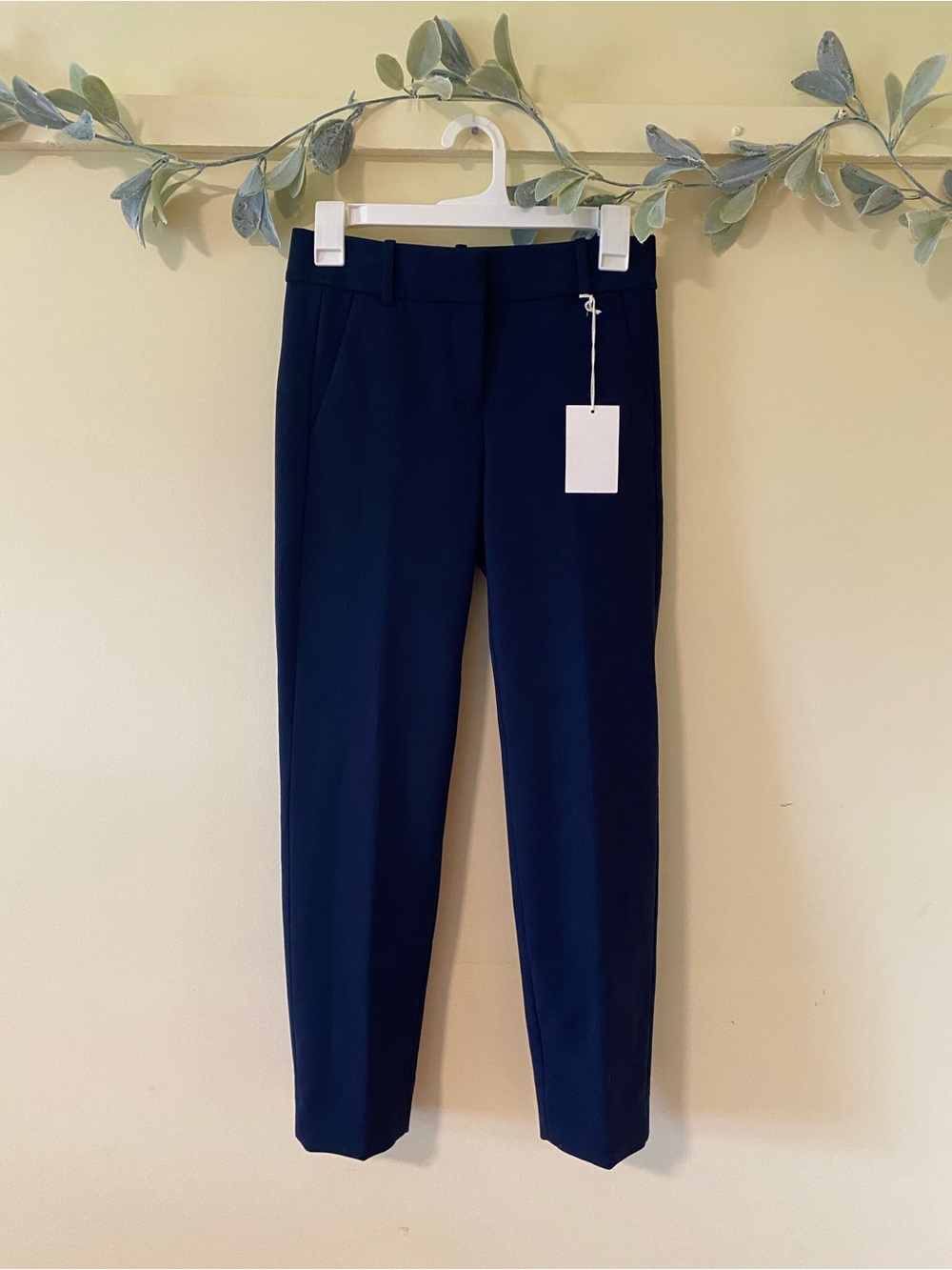 J Crew NWT Blue Cameron Slacks